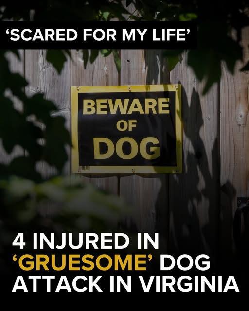 Newport News Dog Attack Victims, Virginia Injured: Community Living in Fear after Dog Attack by Animals Owned by Pardoned January 6th Inmate.