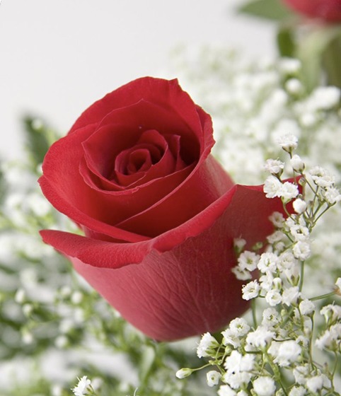 Vergie Ilene Quesinberry Bolt Stuart, Virginia Obituary: Vergie Ilene Quesinberry Bolt Cherished Life Ends Peacefully at 89