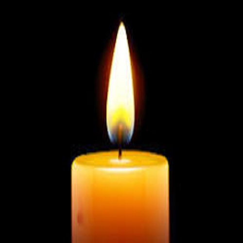 Brenda Joyce Nesbit, Andrews, South Carolina Obituary: Brenda Joyce Nesbit Remembered for Her Warmth and Legacy of Love