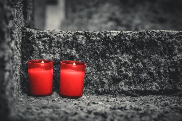 Alexis Olivia, Youngstown, Ohio Obituary: Alexis Olivia Dies Suddenly in Shocking Incident That Leaves Community Grieving